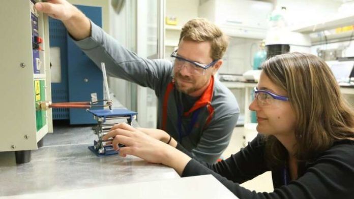 LSU scientists
