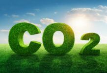 Legislators block bills that would have allowed parishes to ban CCS