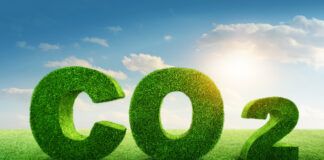 Legislators block bills that would have allowed parishes to ban CCS