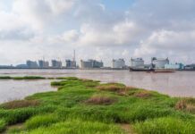 Cameron LNG, Sempra Infrastructure fund redfish release, but some say marshes need more attention