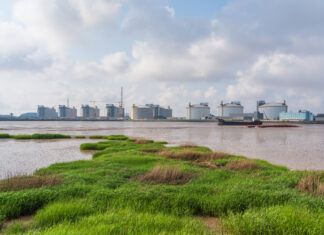 Cameron LNG, Sempra Infrastructure fund redfish release, but some say marshes need more attention